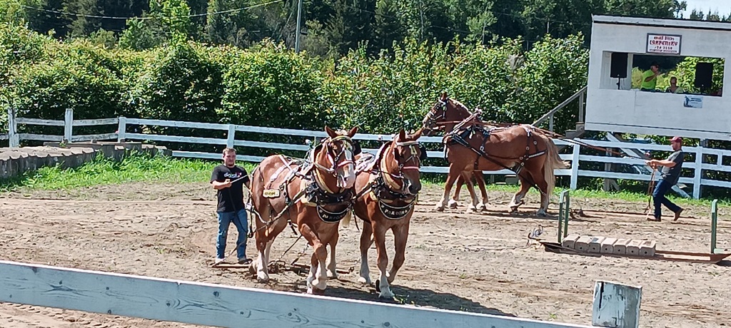 Powassan Fall Fair