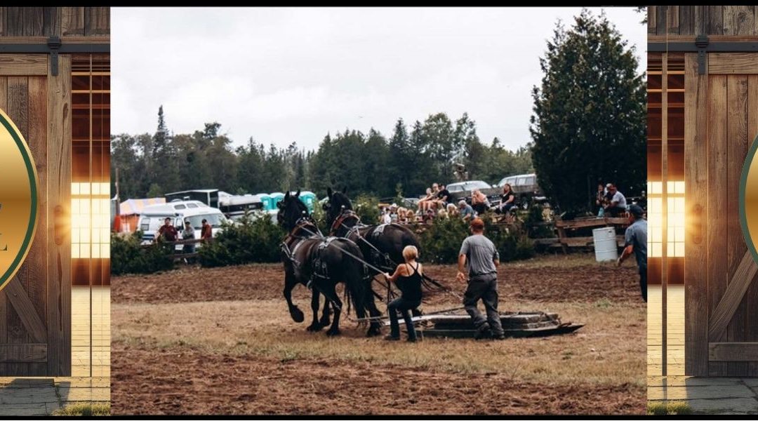 Providence Bay Fair Showcase
