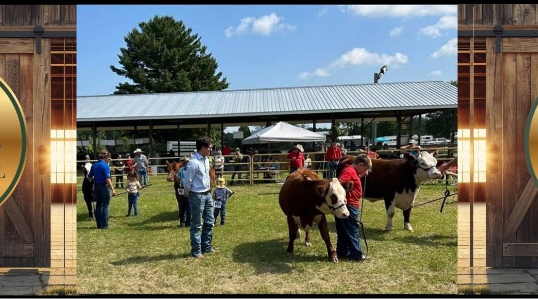 Riceville Fair Showcase