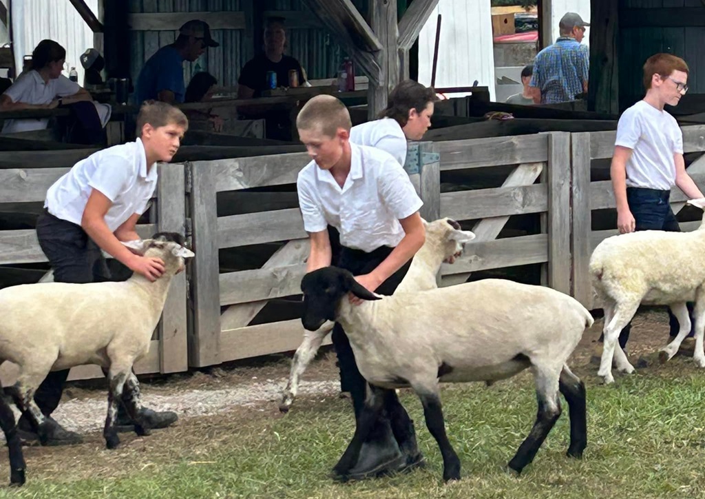 Seaforth Fall Fair