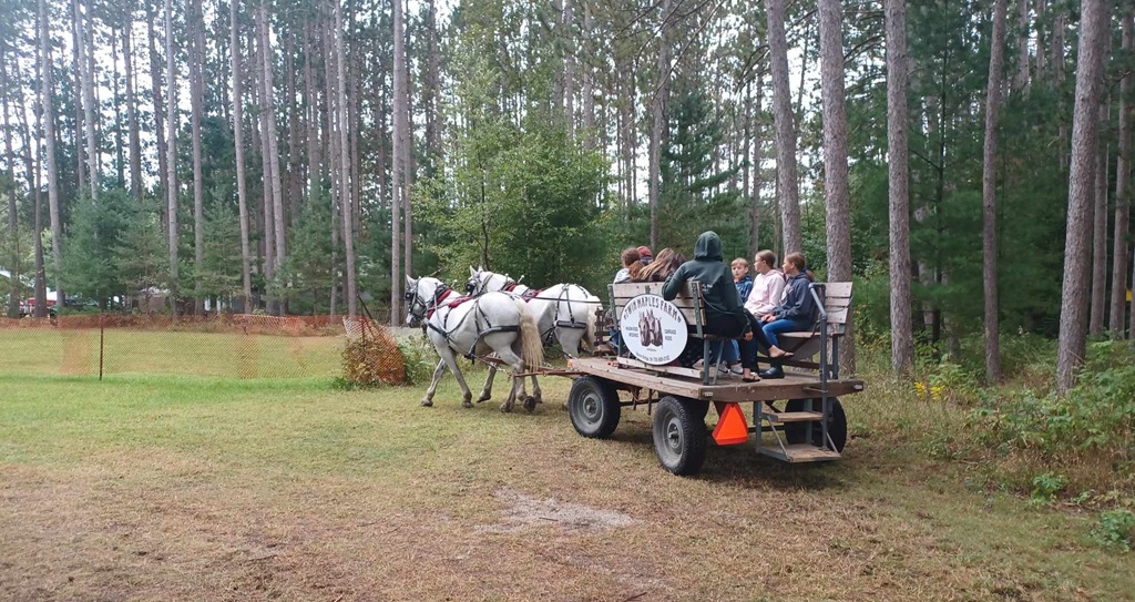Severn Bridge Fall Fair