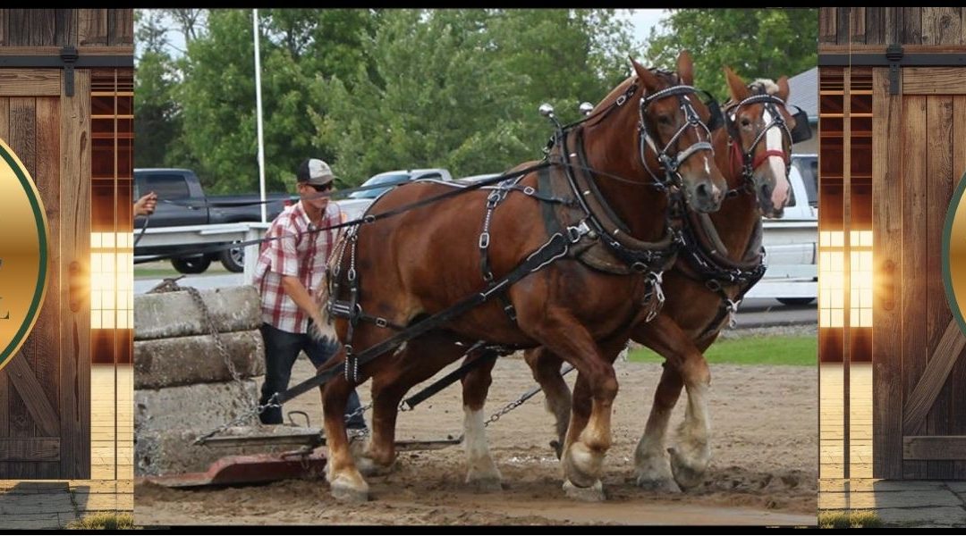 Shannonville World’s Fair Showcase