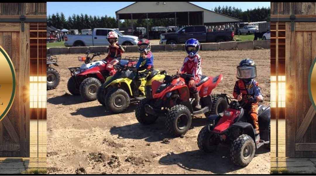 Shedden Fair Showcase