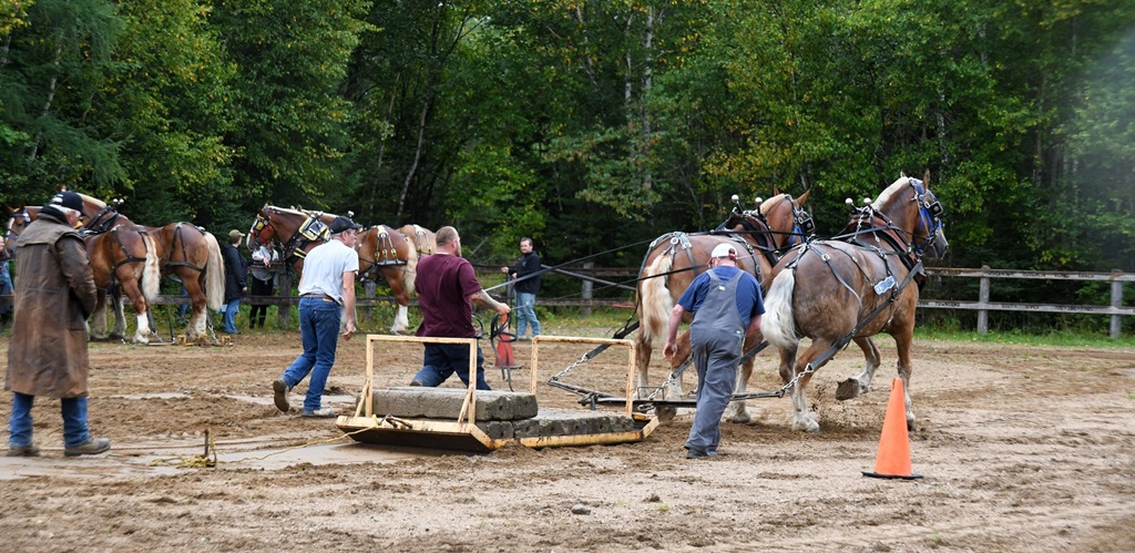 South River Machar Fall Fair 