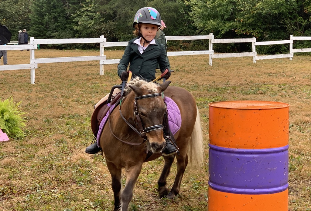 Stisted Fall Fair