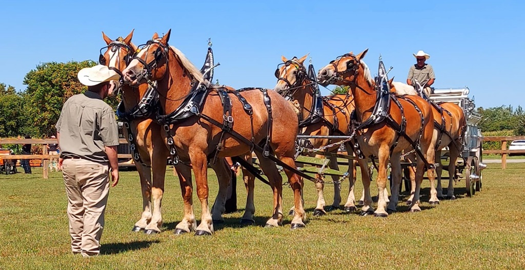 Stormont County Fair