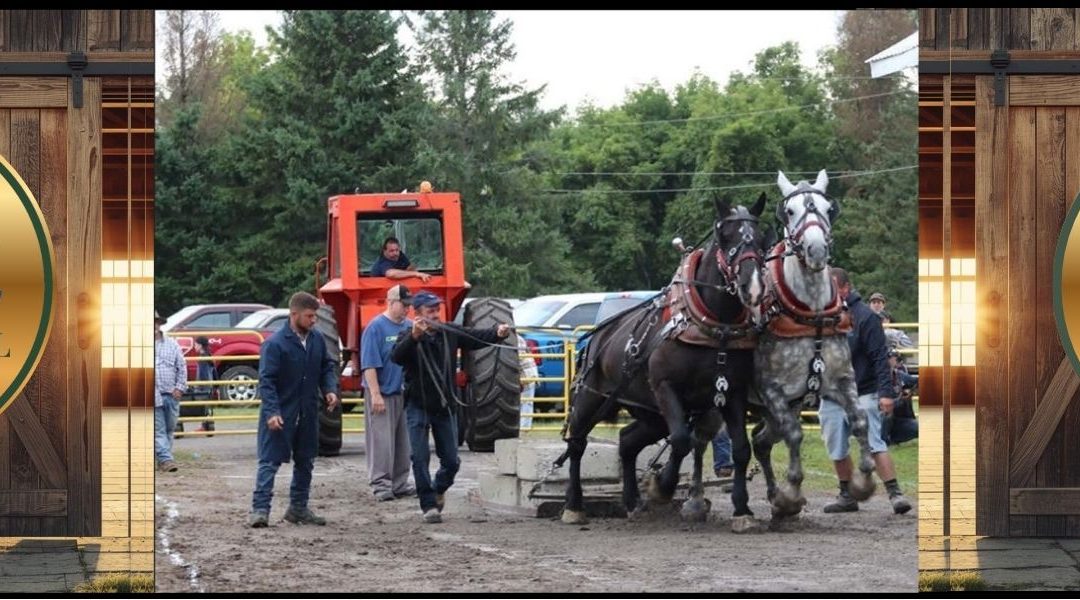 Stormont County Fair