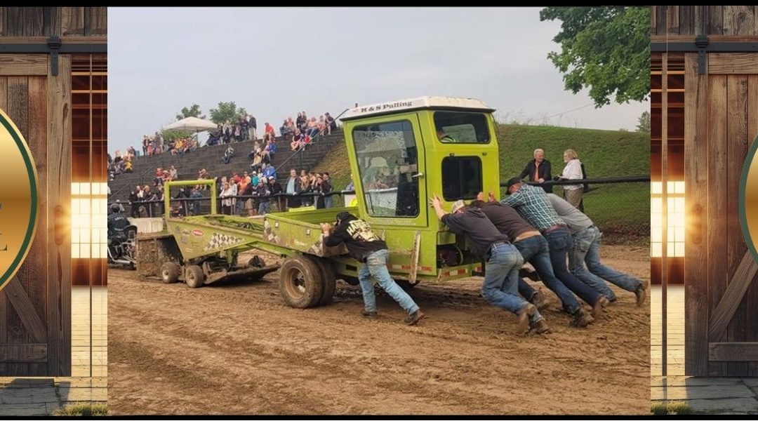 Teeswater Fair Showcase
