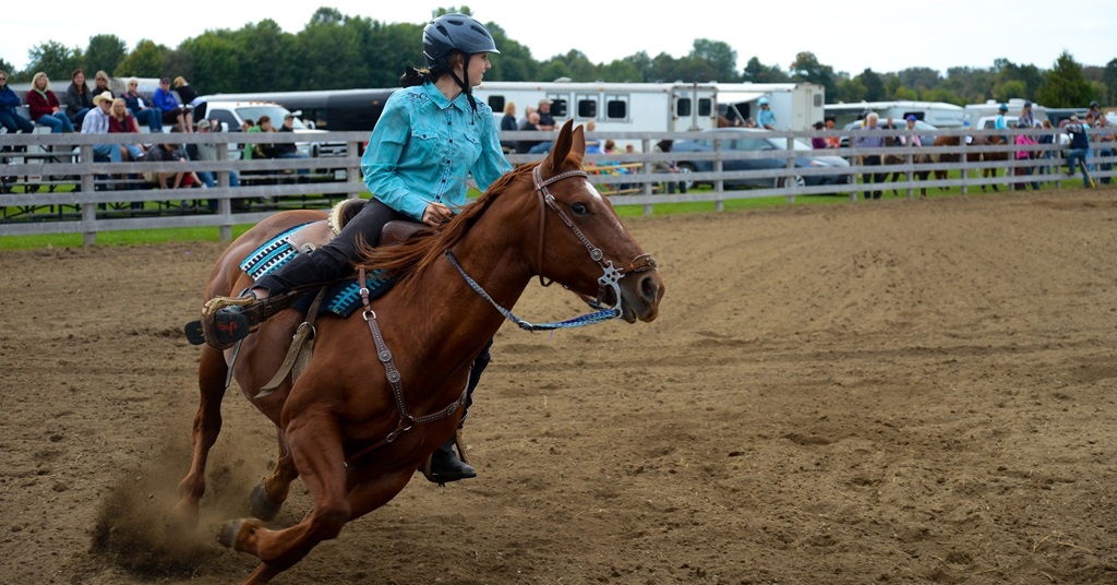 Thorndale Fair