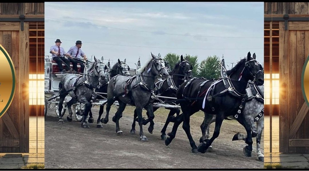 Vankleek Hill Fair Showcase