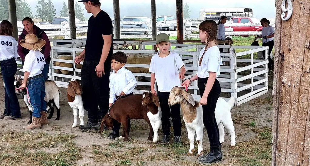 Warren Fair