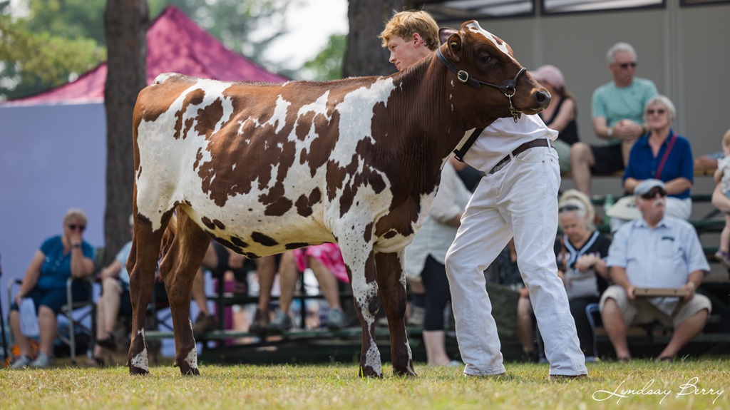 Williamstown Fair - Cattle Show Judging