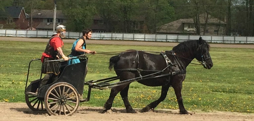Woodstock Fair - Chariot