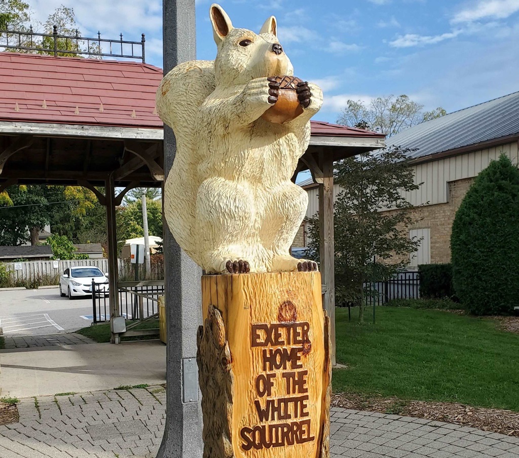 Exeter - Home of the White Squirrel