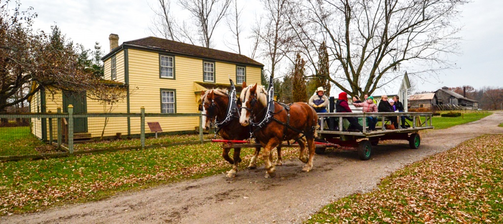 Horse drawn wagon carrying village visitors.
