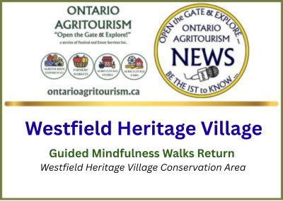 Reconnect with Nature as Guided Mindfulness Walks…