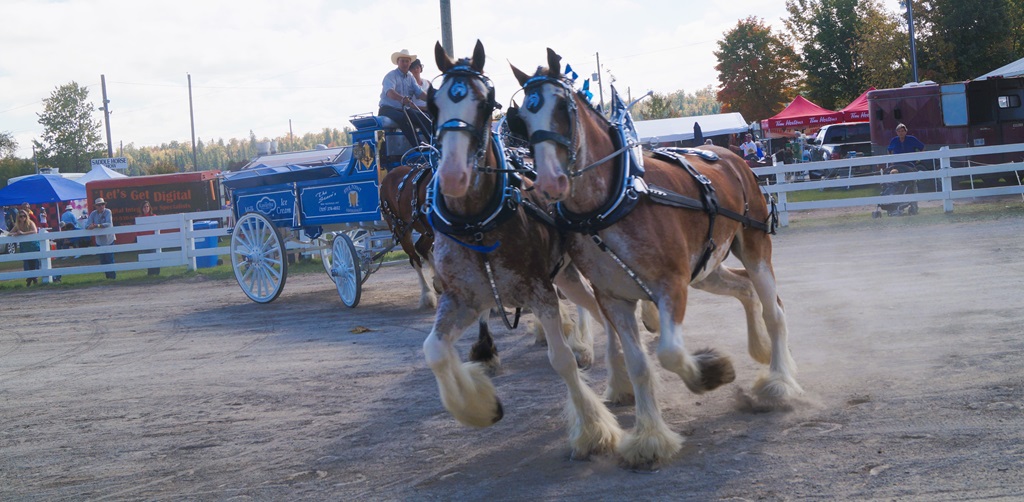 Ontario Agricultural Fairs - Bobcaygeon