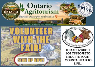 We are looking for Volunteers…