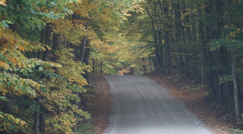 "A Road Less Traveled" - Backroads Field Guide Part 3