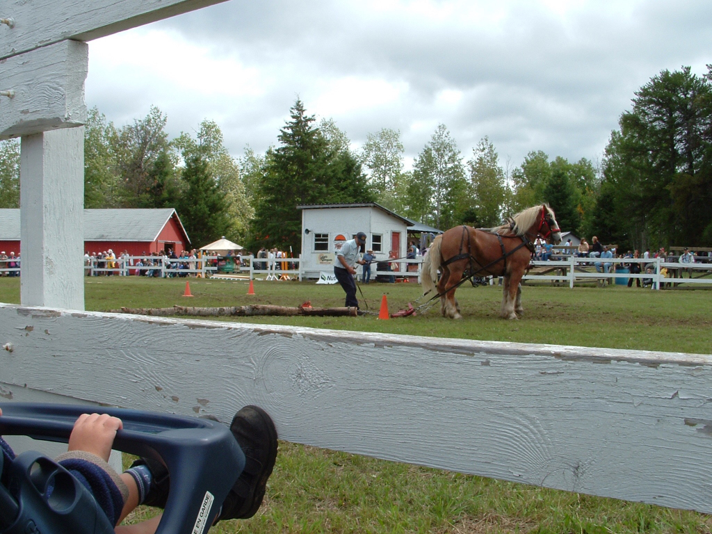 Horse Pull