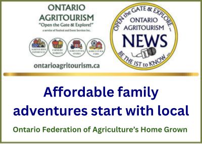 Affordable family adventures start with local