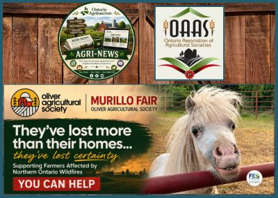 They’ve lost more than their homes… they’ve lost certainty