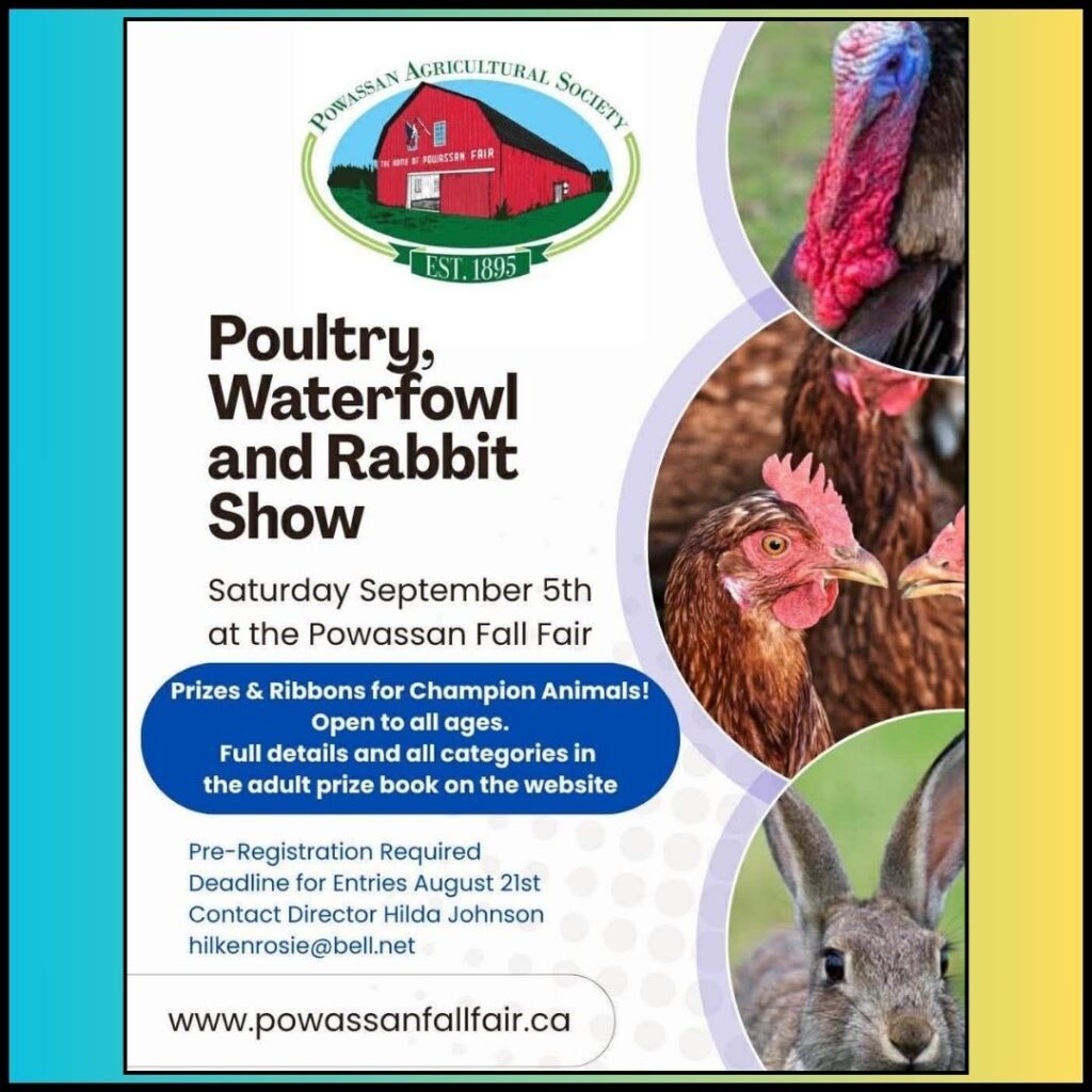 Powassan Fall Fair - Poultry Show