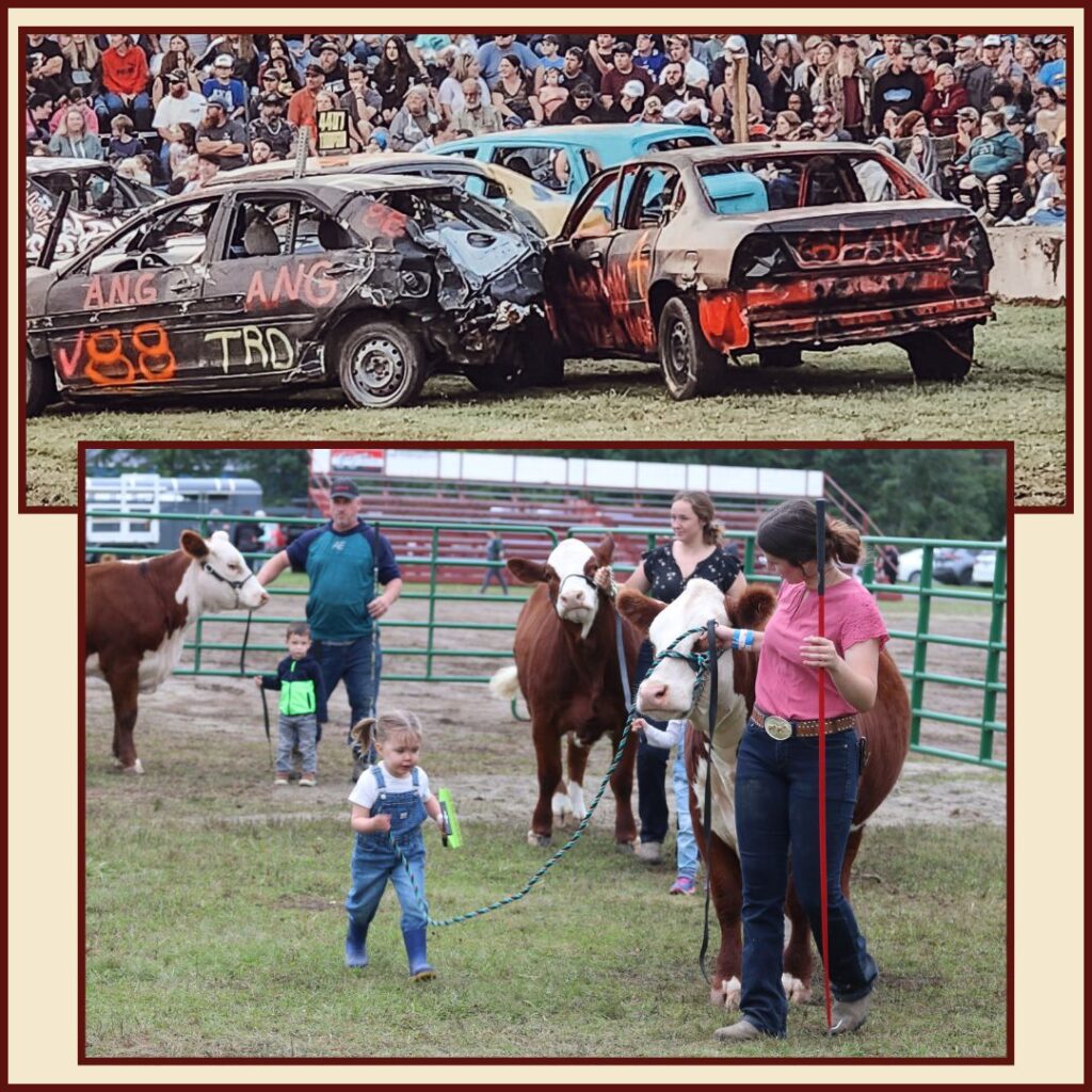 Stormont County Fair - Cattle Shows and Demolition Derby