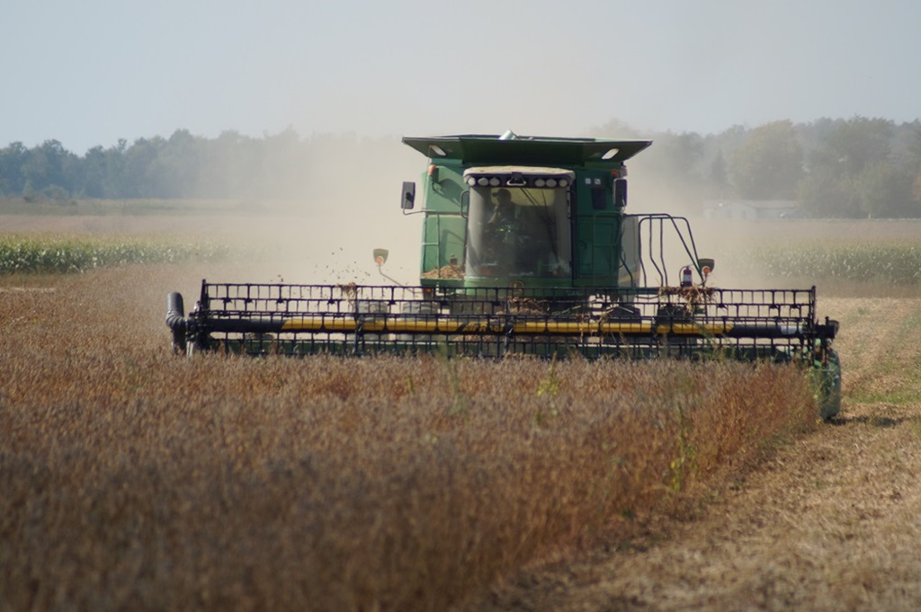 Later Harvesting