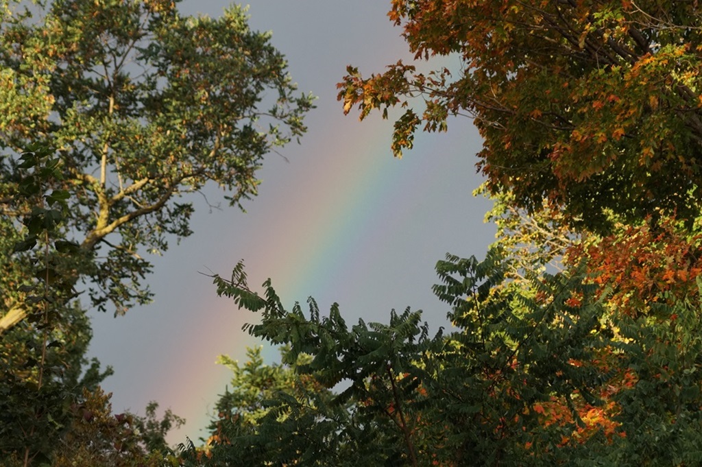Weather plays its part