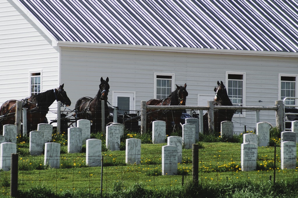 Mennonite Church on Sunday 