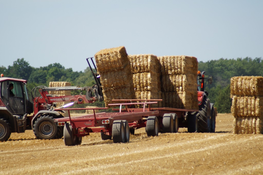 Ontario Harvest - Gathering hay bales