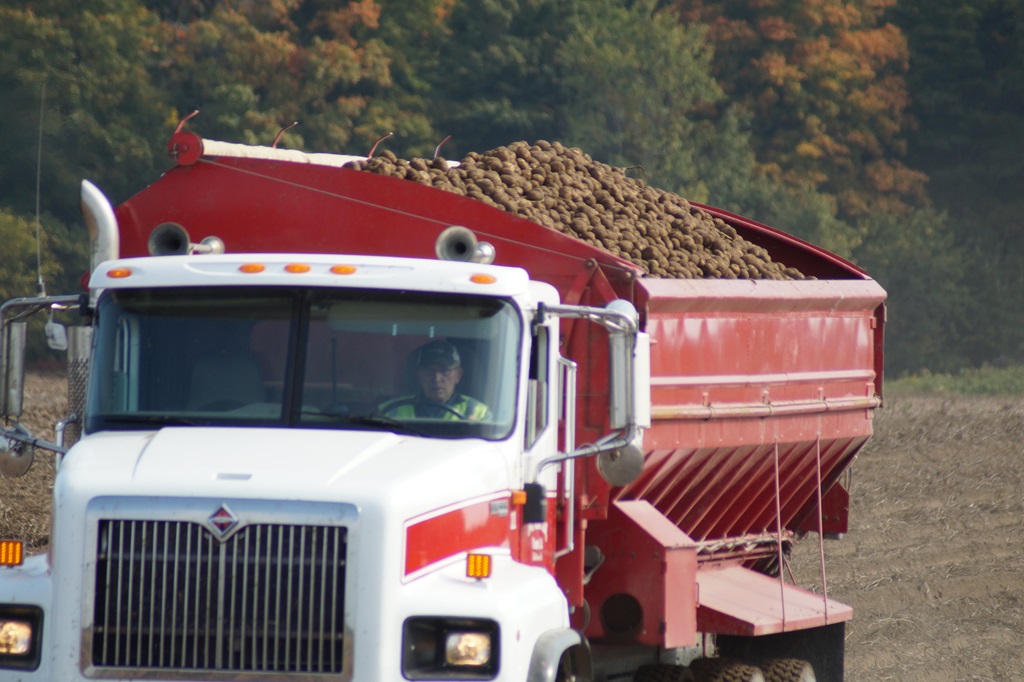 The Final Load - Ontario Harvest