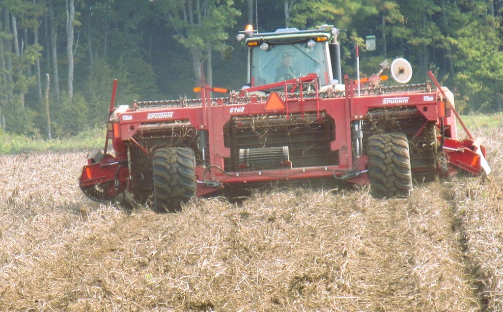 Ontario Harvest - Harvesting Now