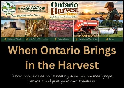 When Ontario Brings in the Harvest